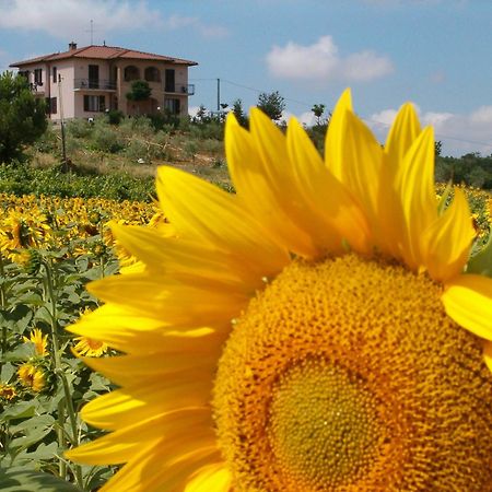 B&B Il Girasole - Rooms & House In Country - 1500 Meters From Historic Center Montepulciano Zewnętrze zdjęcie