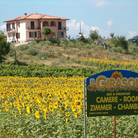 B&B Il Girasole - Rooms & House In Country - 1500 Meters From Historic Center Montepulciano Zewnętrze zdjęcie