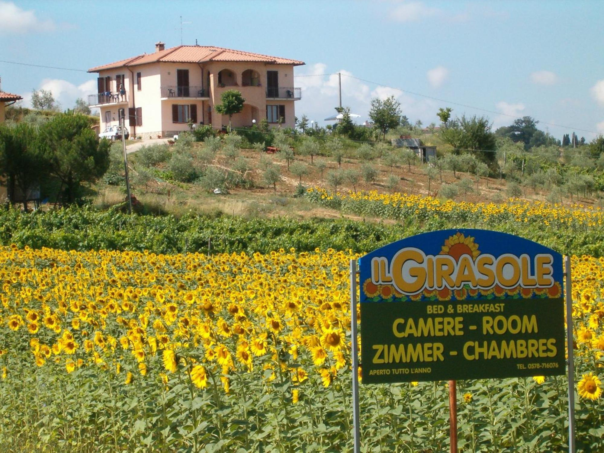 B&B Il Girasole - Rooms & House In Country - 1500 Meters From Historic Center Montepulciano Zewnętrze zdjęcie