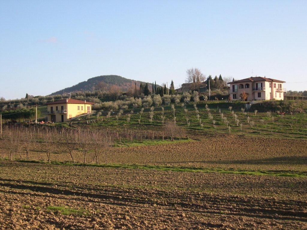 B&B Il Girasole - Rooms & House In Country - 1500 Meters From Historic Center Montepulciano Zewnętrze zdjęcie
