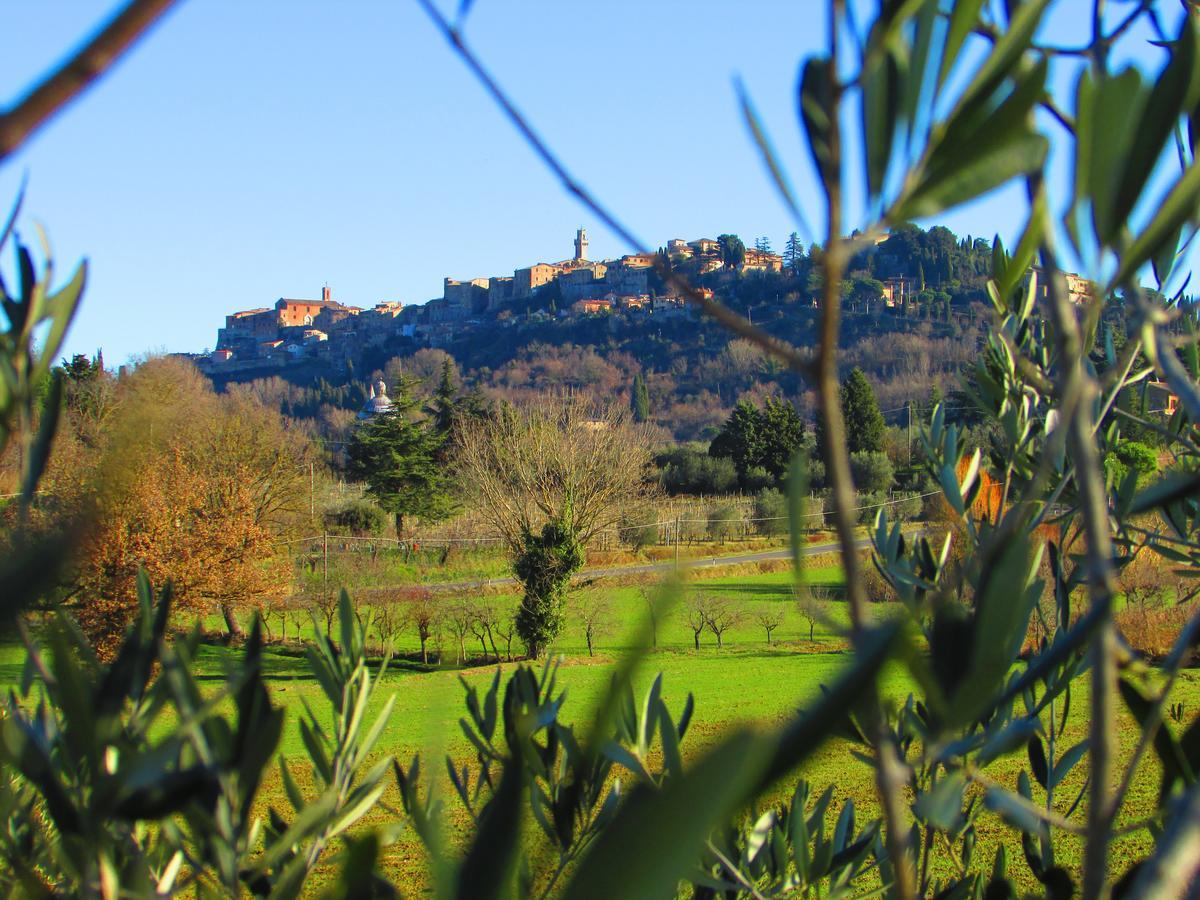 B&B Il Girasole - Rooms & House In Country - 1500 Meters From Historic Center Montepulciano Zewnętrze zdjęcie