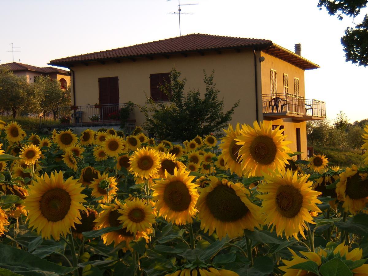B&B Il Girasole - Rooms & House In Country - 1500 Meters From Historic Center Montepulciano Zewnętrze zdjęcie